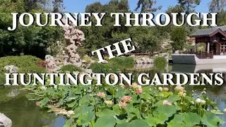 Journey Through Huntington Gardens Chinese, Japanese, Desert, and Rose Gardens