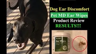 Pet MD Dog Ear Cleaner Wipes - Amazon Product Review