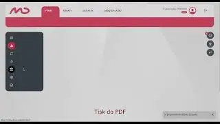 MultiCash Transfer Payment Factory WEB - Zobrazen&iacute; v&yacute;pisů a obratů, filtry, tisk a export
