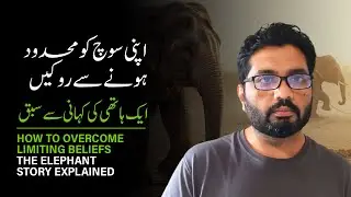 How to Overcome Limiting Beliefs (The Elephant Story Explained)