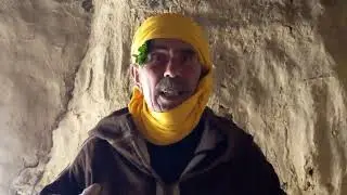 أعشابنا دواؤنا الشيح والعرعار مافيه العار