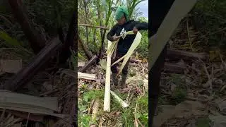 Asnit napud ta dani karon ug abaca mga idol