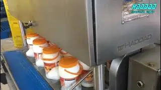 Linear pail filling machine 4 nuzzles for thick liquids made by Haddad machine 