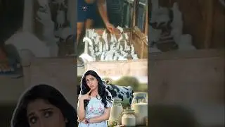😳Costly Milk In The World😱 Time Pass Panda YT #rat #ratmilk #milk #costly #world