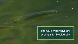 TCV volunteer impact - waterways