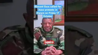 Blessed &lsquo;Bombshell&rsquo; Geza has called for a mass protests in Harare on Friday October 17 #geza