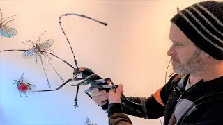 Sean Goddard - Insects