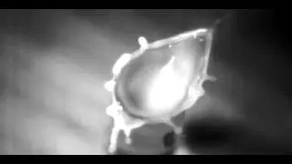Black and white splash-cup splash video