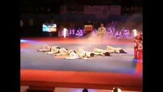 Taekwondo WTF. Korea Open 2011. Показательные. 4 я часть.