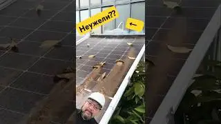 The problem of the century is solved!! How they learned to clean #solarenergy #secret #energy edu...