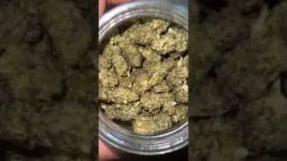 @PicaPuff Mendo Breath Strain