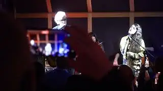 Mick Harvey performs 