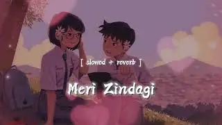 2224 New song meri zindagi lofi || slowed and reverd || Tulshi Kumar #lofisong #love