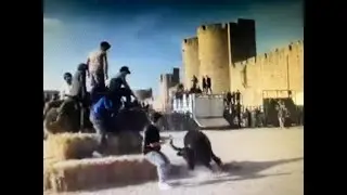 ENCIERRO HIVER AIGUES MORTES MANADES LESCOT ET DU LEVANT LE 15 02 25