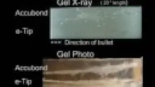 Copper vs Lead Bullet Study pt 1