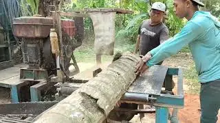 Kerasnya penggergajian kayu kelapa
