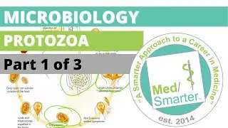 Protozoa | Microbiology | USMLE STEP 1 | Part 1 of 3