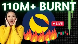 INSANE! LUNA CLASSIC BURN - 12 HOUR RESULTS #lunaclassic #lunc #lunaburn