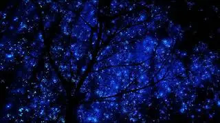 Weightless Harmonies for Sleep