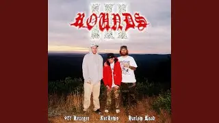 3 ROUNDS (feat. Cocaine Krueger)