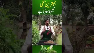 Best soil | How to prepare good soil  Gardening With Javed Iqbal #javediqbal #gardening