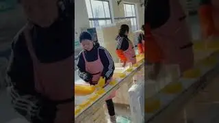 Fastest Lady Working Food Packing Satisfaying Job #short