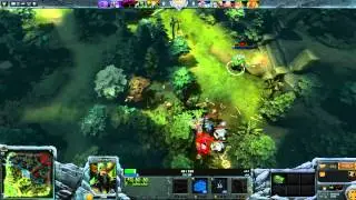 dota 2014