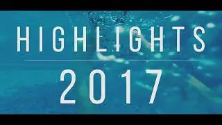 Highlights of 2017 (by Nick Tsutsunava)