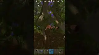 She's a loot goblin  #rust #rustgame #playrust #jungleninjas