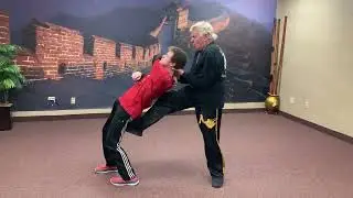 Wing Chun vs different attacks (Jab/hook, Uppercut, Leg Shoot) #wingchun #fighting #ipman #kungfu