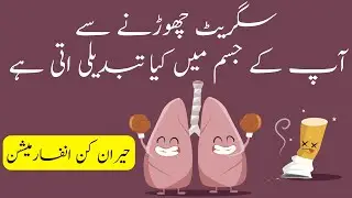 How To Quit Smoking In Urdu | What Happens To Your Body When You Quit Smoking