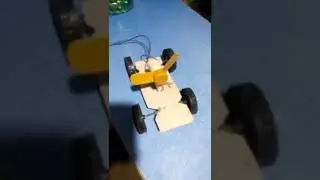 Bagewal Pakistani jugadu bacha