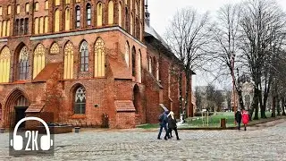 Walk and Organ music Kaliningrad / Binaural Audio
