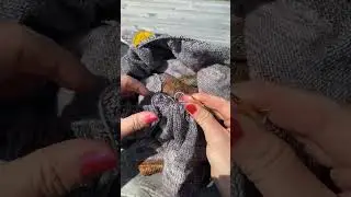 Meditative morning knitting