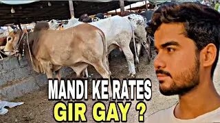 Chand Raat Mandi Vlog | Saste Janwar? | Eid Mubarak 2025 🐄❤️