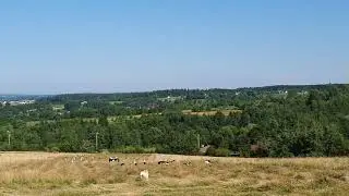 Vicovu de jos și Remezău
