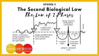 German New Medicine Podcast | The Law of Two Phases