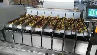 Automatic small fruit apple date linear weighing filling tray box packing machine