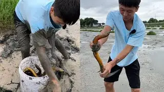 在這個路邊，發現了壹塊好大的幹塘#fishing #农村生活 #搞笑 #熱門 #大熱門 #outdoors #food