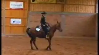 EWU-LK 4 Reining - Bine & Vlady