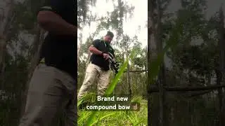 Shooing my new bow #compoundbow #targetshooting #realnigga