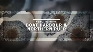 TIMELINE: A brief history of Boat Harbour and Northern Pulp