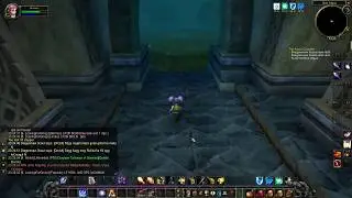 The Algaz Gauntlet quest guide - WoW Classic