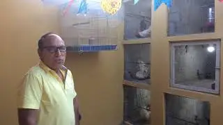 Galinha nagazaki parte 2: criação José hernandes
