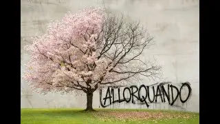 FELICIANO - allorquando REM26