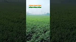 🇮🇳 Tricolour 🇮🇳 Paper Lantern Craft Ideas #shorts #viral #youtubeshorts