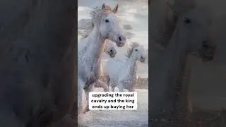 Cinderella the Con Artist #personality #fictioncharacter #cinderella #fairytales #tales #storytime