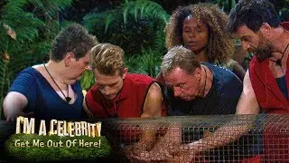 It's Eggstra Tense as Fleur's Letter From Home is Lost | I'm A Celebrity... Get Me Out Of Here!