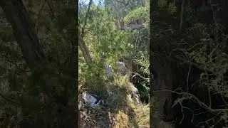 прогулка по гарам