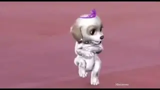 Barbie dogs dancing to reverb by corbyn besson